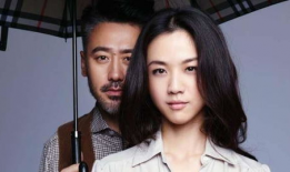 汤唯演过的电视剧,跨越时空的情感之旅
