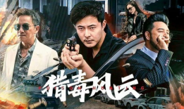 战毒电视剧,卧底风云，生死较量