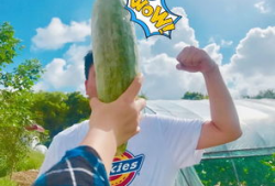 网红吃瓜爆料大全图片,揭秘娱乐圈幕后真相