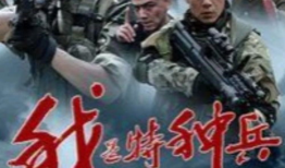 电视剧班长,青春岁月的奋斗传奇