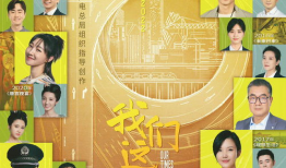 我们这十年电视剧,中国电视剧十年发展概览