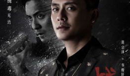 战毒电视剧,卧底风云，生死较量