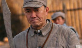 亮剑 电视剧,烽火岁月里的英雄传奇