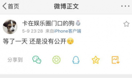 吃瓜头条爆料在线播放,在线播放背后的精彩故事