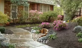 幸福花园动漫,动漫世界中的梦幻乐园之旅