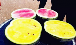 每日大赛一吃瓜爆料,揭秘娱乐圈幕后风云