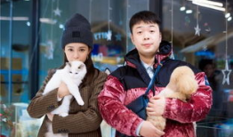 沈梦辰的电视剧全部,从青春校园到都市情感，演绎多彩人生