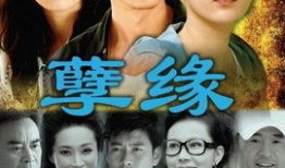 电视剧缘,一段跨越千年的爱恋传奇