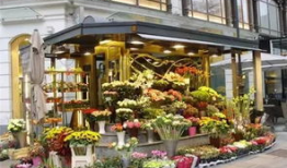 51爆料吃瓜网 花店,花店背后的惊人真相大揭秘！