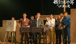 我们这十年电视剧,中国电视剧十年发展概览