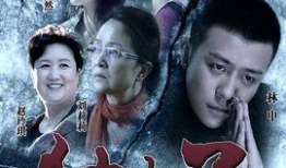 电视剧《独生子》,亲情纠葛与成长蜕变的人生旅程