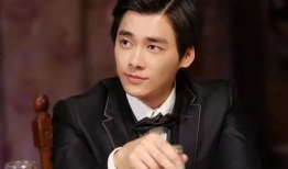 李易峰演的电视剧,步步惊心中的深情皇子与李易峰的演绎传奇