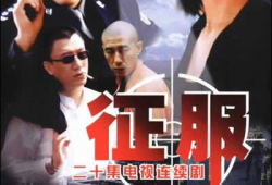 电视剧征服,权谋与情感的较量