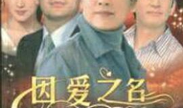 因爱之名 电视剧,跨越时空的深情守候